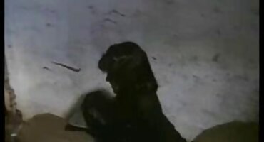 phim sex mới nhất hôm nay Brunette hút vòi nước dày. sexkoche